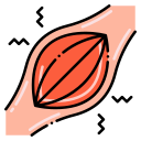 Muscle Strain Physiotherapy Link