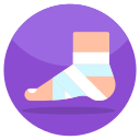 Post Ankle Fracture Physiotherapy Link