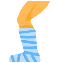 Post Leg Fracture Physiotherapy Link