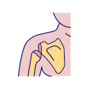 Rotator Cuff Injury Physiotherapy Link