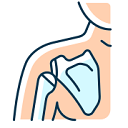 Shoulder Dislocation Physiotherapy Link